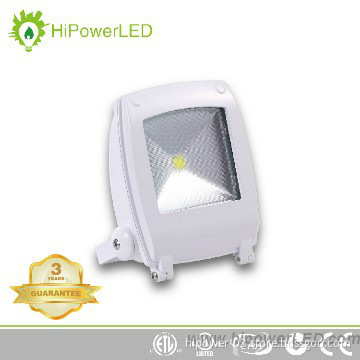 IP65 30W LED Flood light,Bridgelux COB,3 years warranty